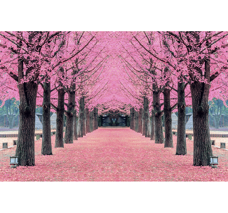 Flower wall mural cherry blossom pathway - TenStickers