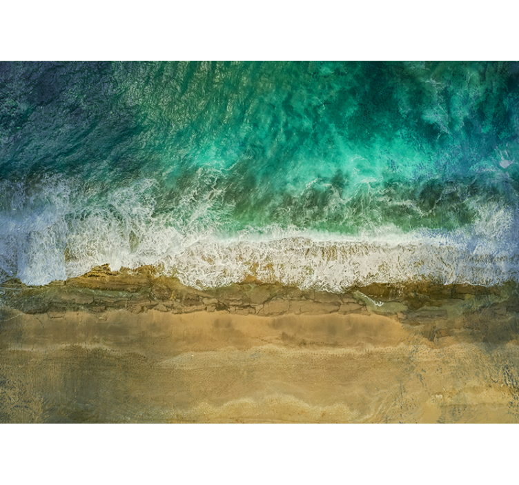 Wall mural nature coastal plant arrangement - TenStickers