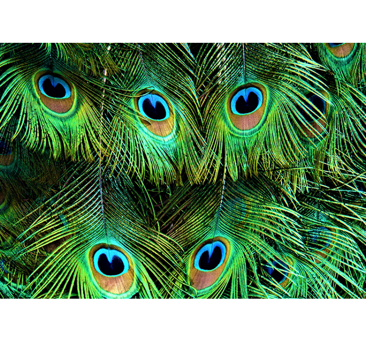 Animals wall mural peacock feather design - TenStickers