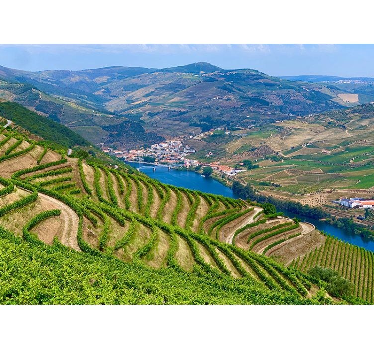 Vineyard valley river landscape wall mural - TenStickers