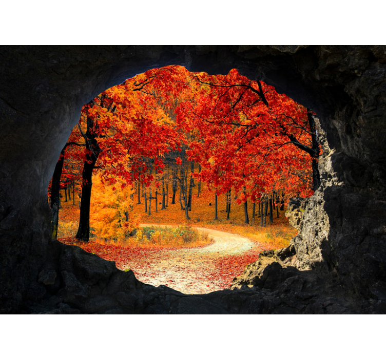Forest wallpaper autumn trail view - TenStickers
