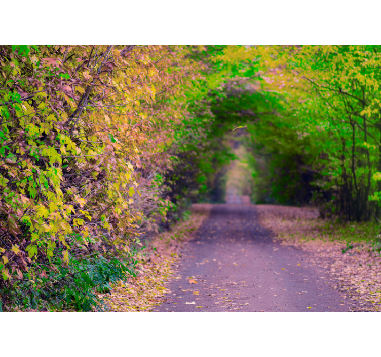 Nature wallpaper lively green pathway - TenStickers