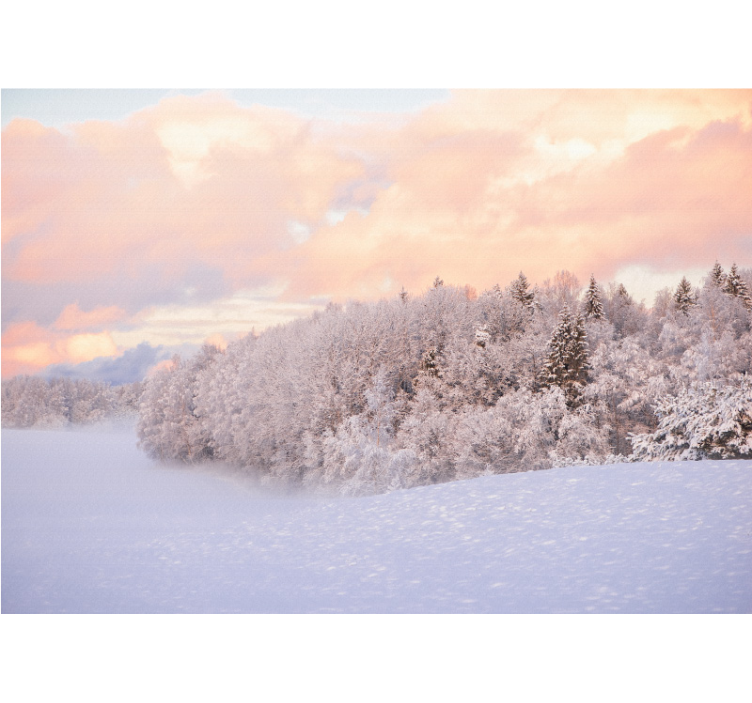 Wall mural nature snowy forest landscape - TenStickers