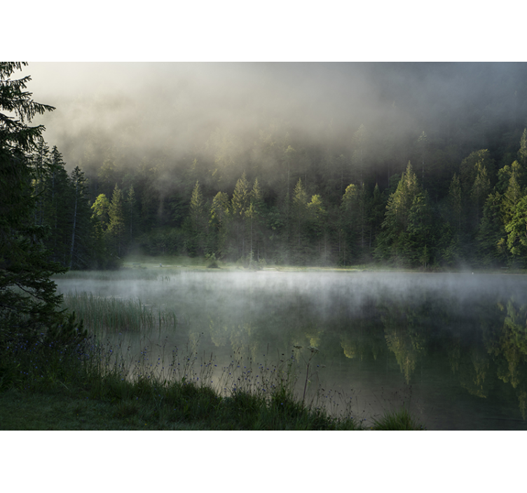 Misty Forest Reflection landscape wall mural - TenStickers