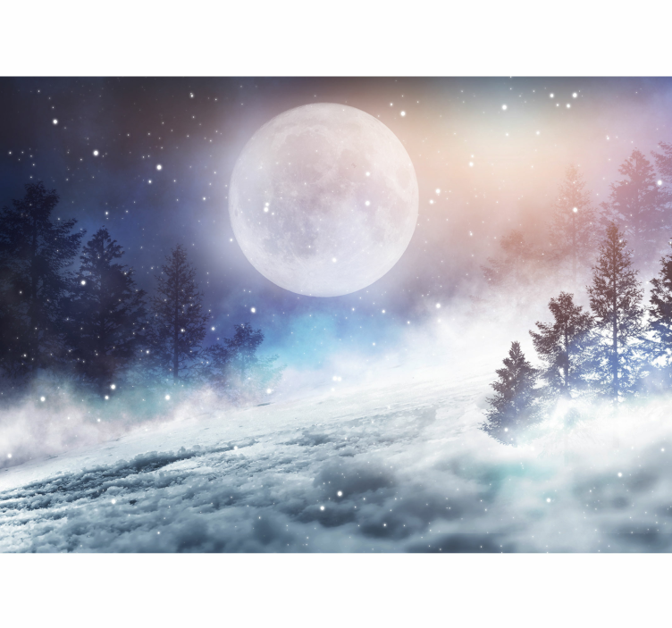Fantasy forest with full moon Kids wall Murals - TenStickers
