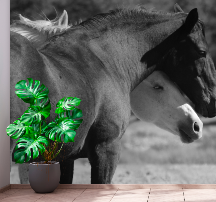 Animals wall mural horse friendship - TenStickers