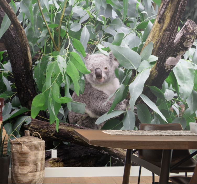 Animals wall mural koala in leaves - TenStickers