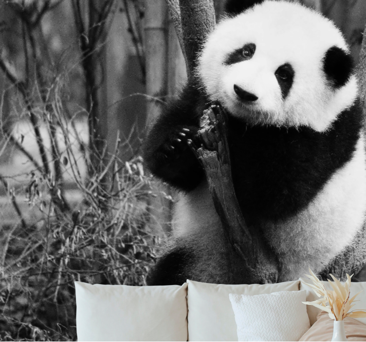 Animals wall mural panda in the tree - TenStickers