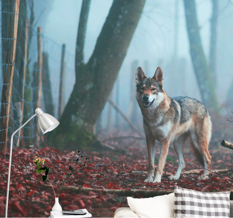 Animals wall mural wolf in misty forest - TenStickers