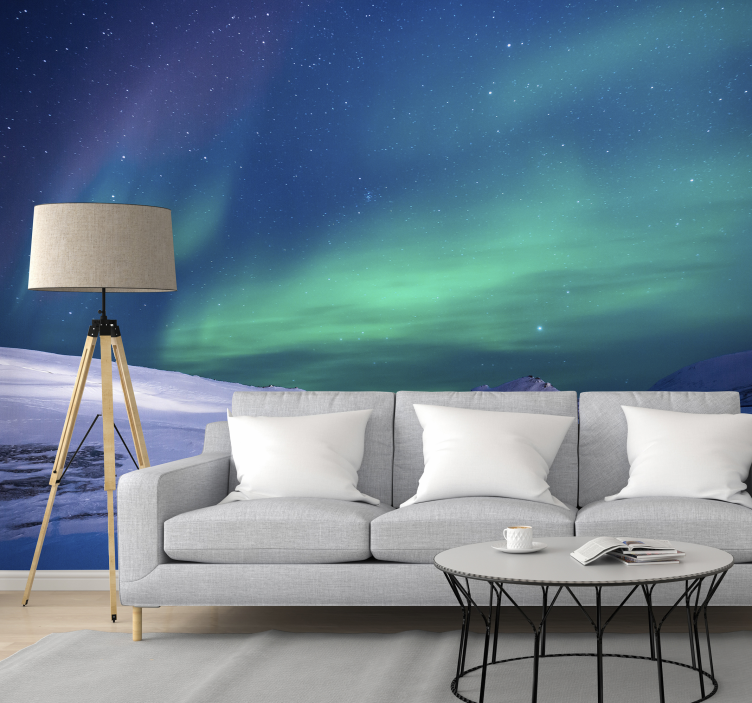 Aurora Night Sky sky wall mural - TenStickers