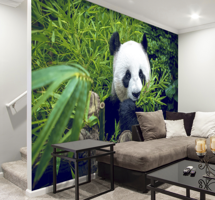Bamboo Wall Mural Panda in a shadow - TenStickers