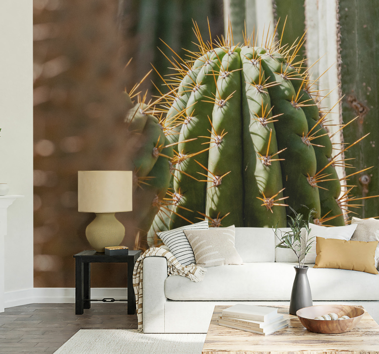 cactus close up desert wall mural - TenStickers