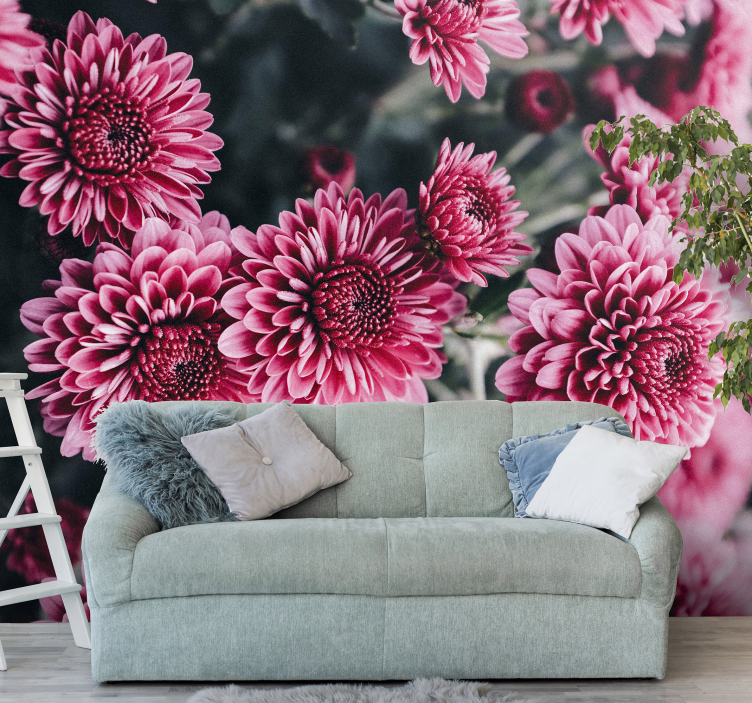 Chrysanthemum Blossom flower wall mural - TenStickers
