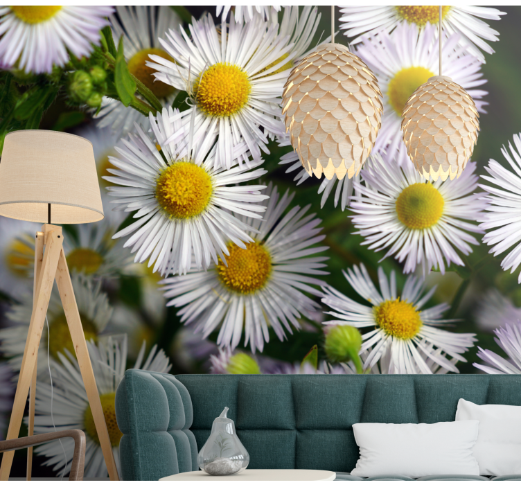 Flower wall mural charming white daisies - TenStickers