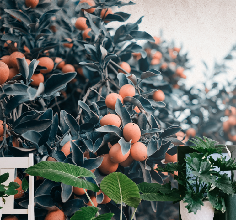 Flower wall mural citrus fruit branch design - TenStickers