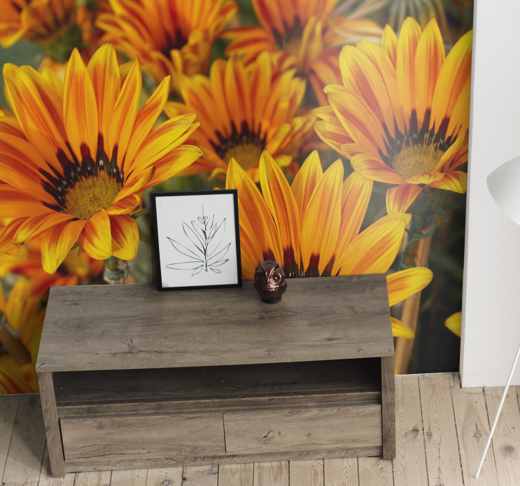 Flower wall mural sunlit orange blossoms - TenStickers