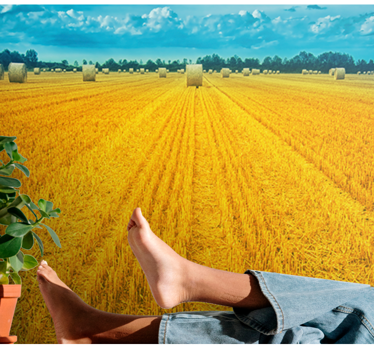 Golden Harvest Field landscape wall mural - TenStickers