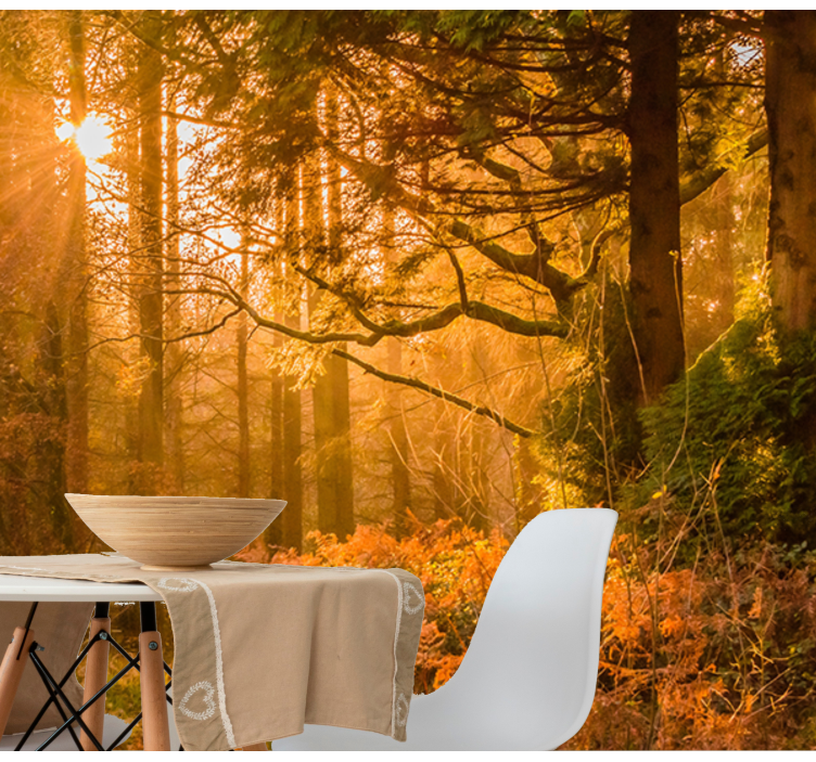 Illuminated Woodland Landscape wall mural nature - TenStickers