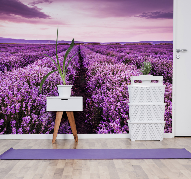 Lavender Field Panorama flower wall mural - TenStickers