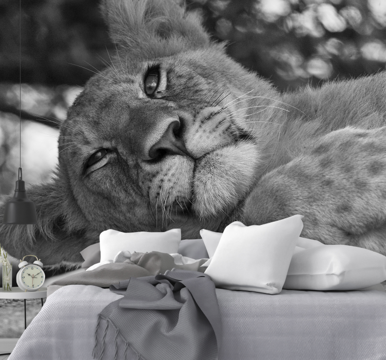 Lion wall mural majestic lion at rest - TenStickers