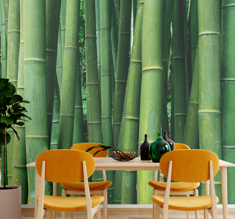 Lush forest bamboo wall mural - TenStickers