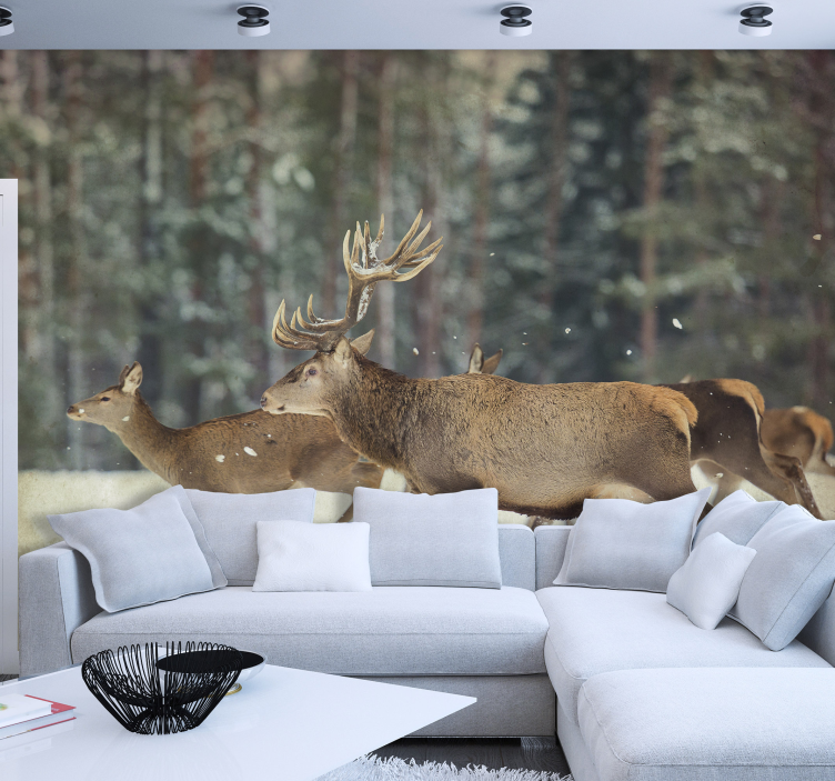 Majestic Deer Herd animals wall mural - TenStickers