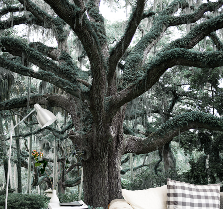 Majestic oak branches wall mural trees - TenStickers