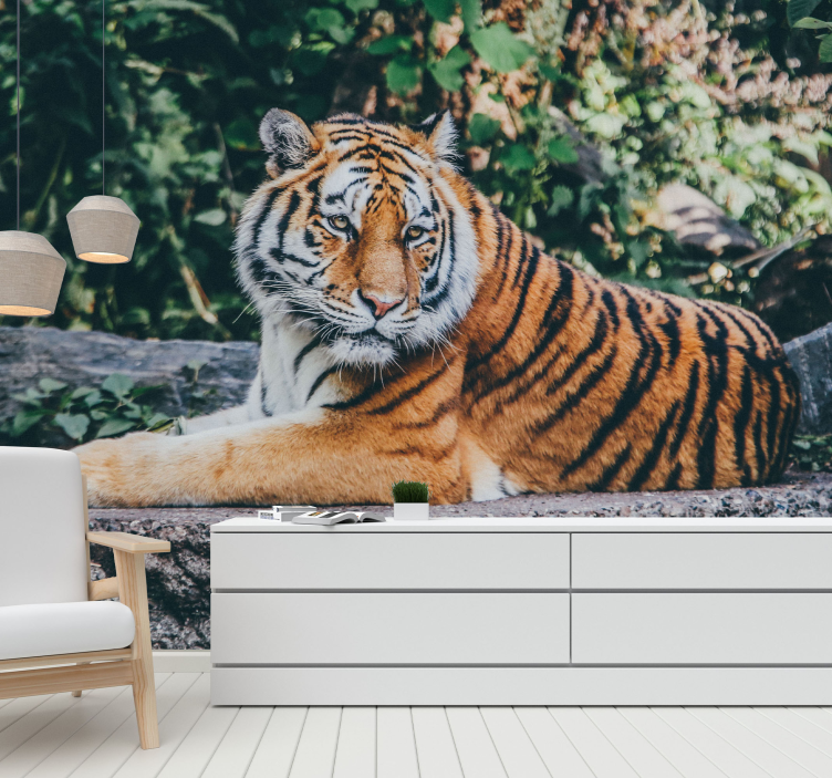 Majestic Tiger Stare animals wall mural - TenStickers