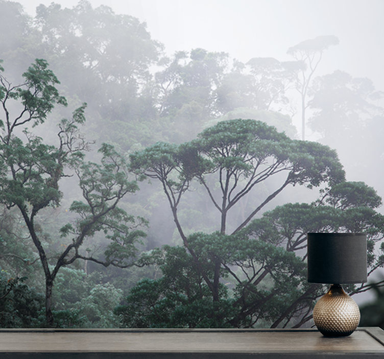 Misty forest scenery forest wall mural - TenStickers