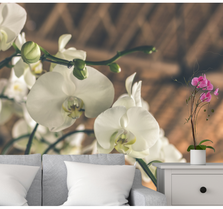 Orchid wall mural elegant orchid blooms - TenStickers