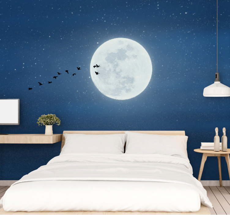 Sky wall mural mysterious night sky - TenStickers