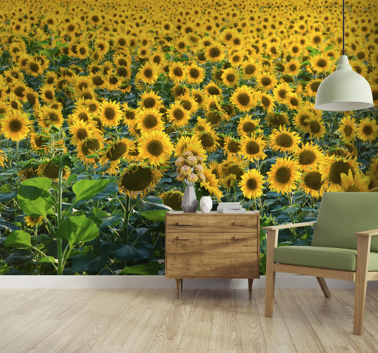 Sunflower Field Panorama flower wall mural - TenStickers