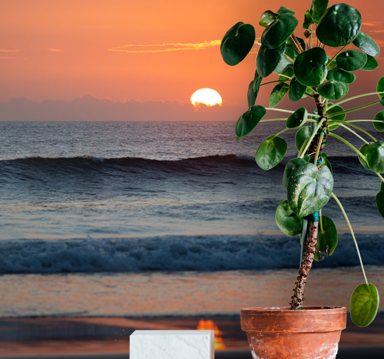 Sunset Ocean Horizon under the sea wall mural - TenStickers