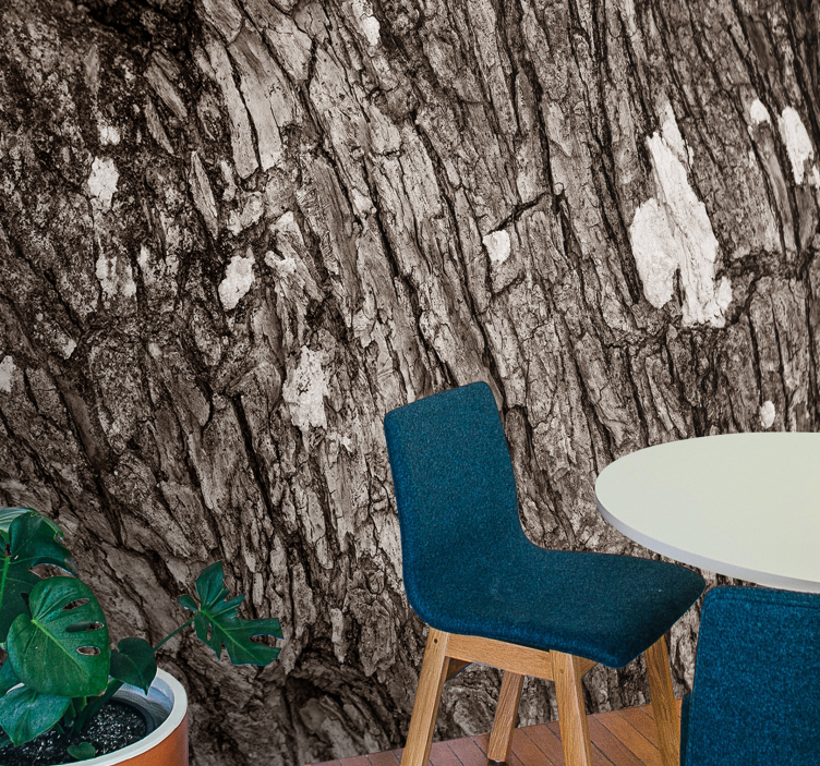 Texture wall mural textured tree bark - TenStickers