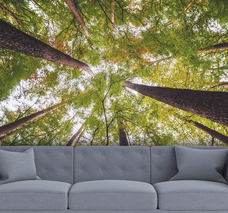 Towering Green Canopy wall mural nature - TenStickers