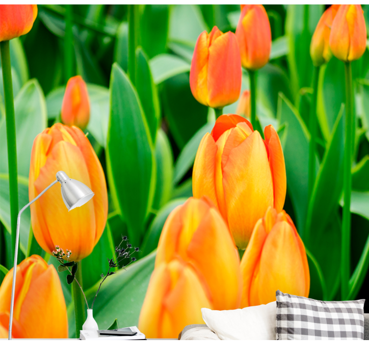 Tulips wall mural abundant tulip blooms - TenStickers