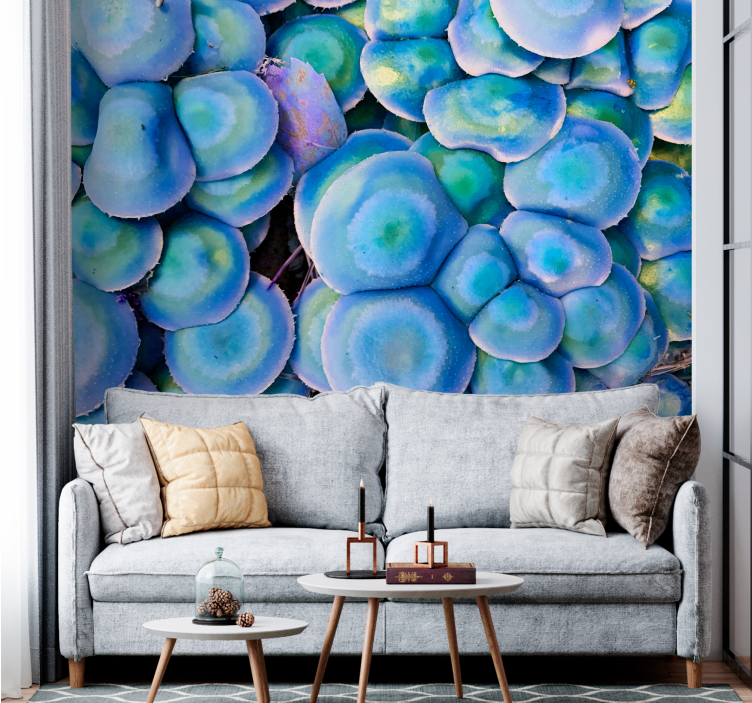 Wall mural nature colorful succulent close-up - TenStickers