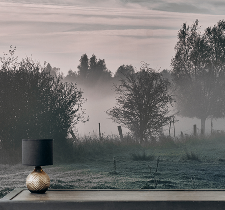 Wall mural nature foggy woodland scene - TenStickers