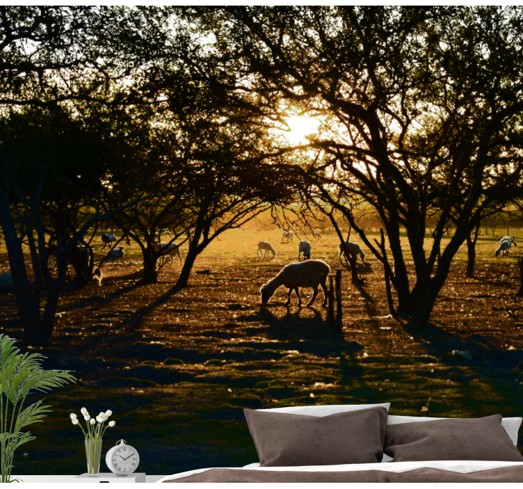 Wall mural nature golden sunset grazing - TenStickers