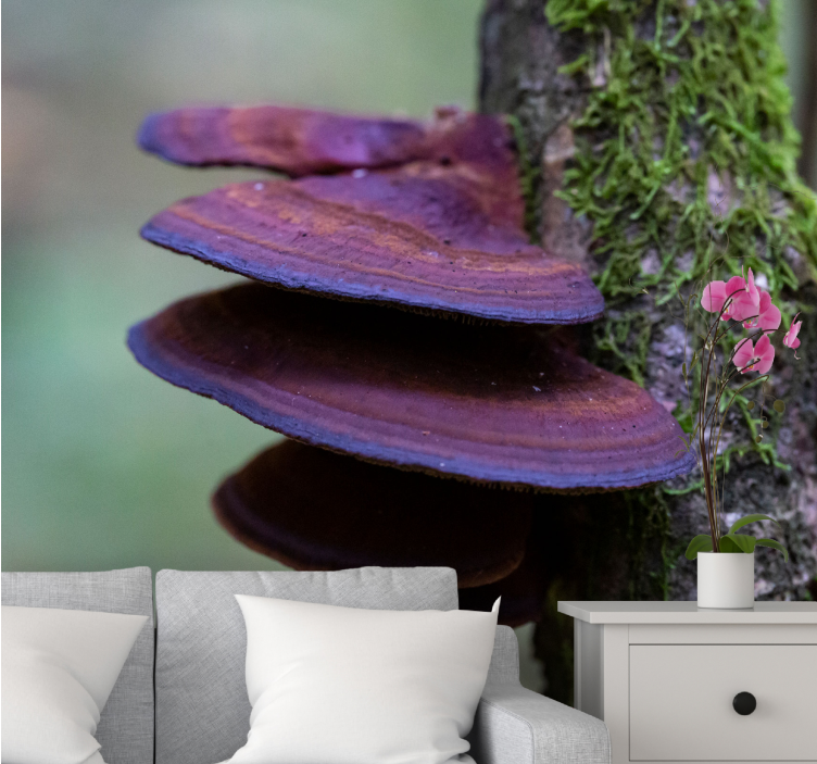 Wall mural nature mushroom growth detail - TenStickers