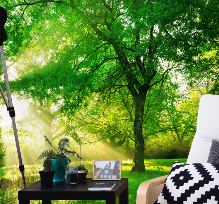 Wall mural nature sunlit greenery scene - TenStickers