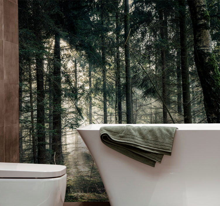 Wall mural nature tranquil woodland view - TenStickers