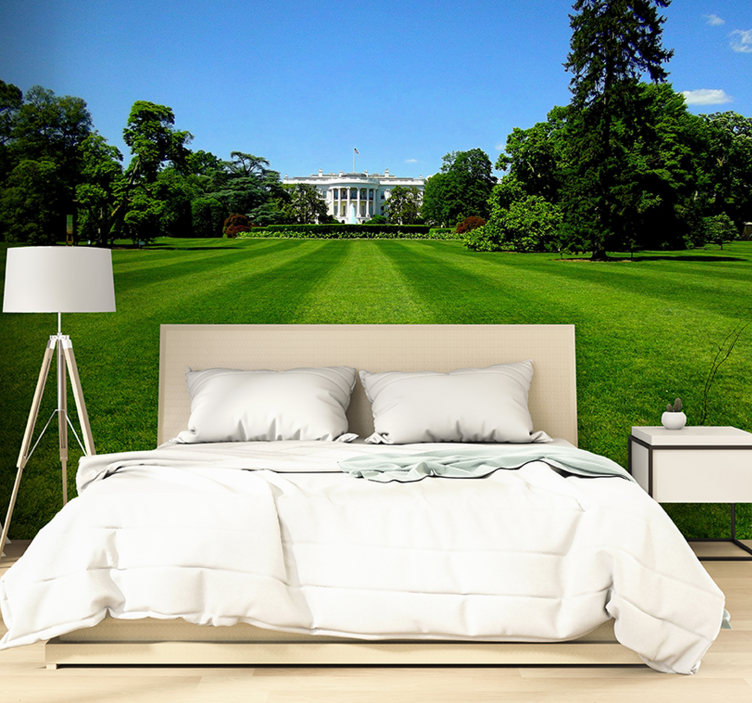 White House Landscape city wall mural - TenStickers