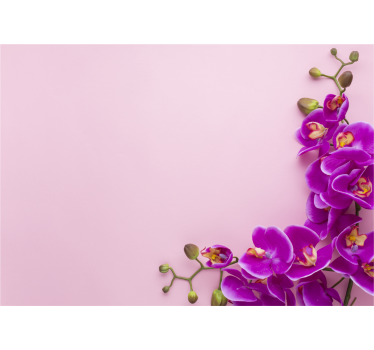 Orchid wall mural orchid floral arrangement - TenStickers