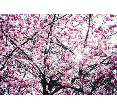 Cherry blossom tree wall mural wallpaper - TenStickers