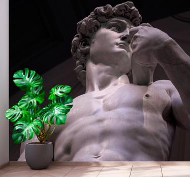 Classic art wall mural michelangelo's marble figure - TenStickers