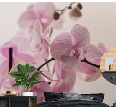 Orchid wall mural delicate orchid blooms - TenStickers