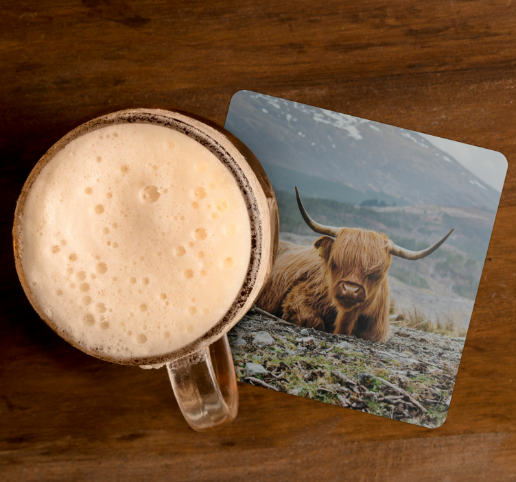 Highlands cattle cow more coasters - TenStickers