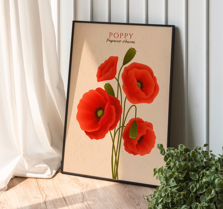 Poppies Illustrated Flower Poster - TenStickers
