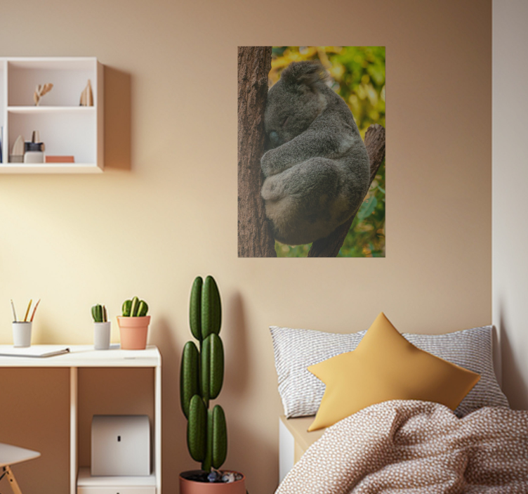 Sleeping koala poster for teenager - TenStickers